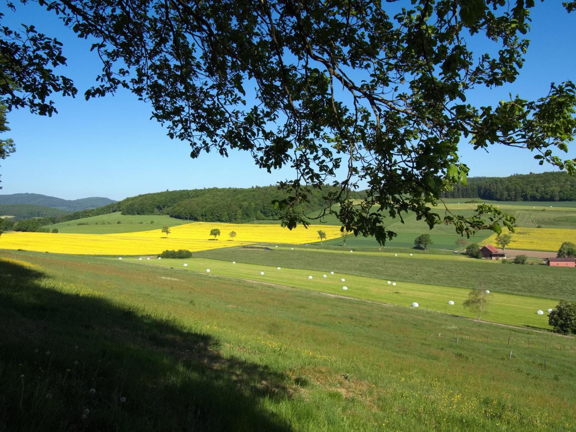 Diemelsee Sudeck - Ein Ferienhaeuschen Zum Wohlfuehlen Exterior photo